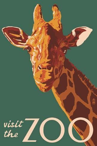 the art if zoo|Art of Zoo: Blend of Art and Animal Encounters!